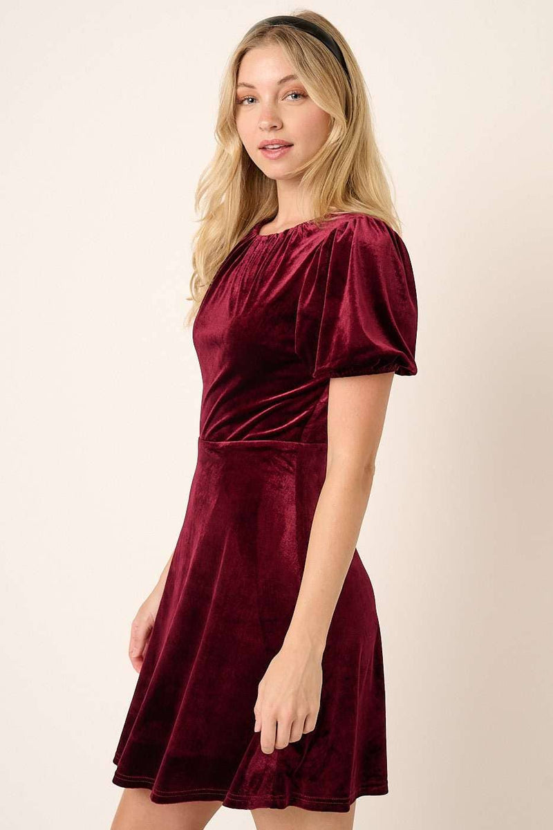 Veronica Velvet Knee Length Dress, M / WINE Veronica Velvet Knee Length Dress, M / WINE